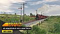 Trainz 2022 DLC - VR Healesville 1913-1920 TRS19