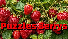 Puzzles Berrys