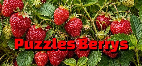 Puzzles Berrys Game