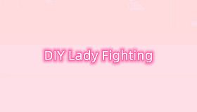 DIY Lady Fighting