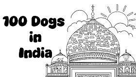 100 Dogs in India