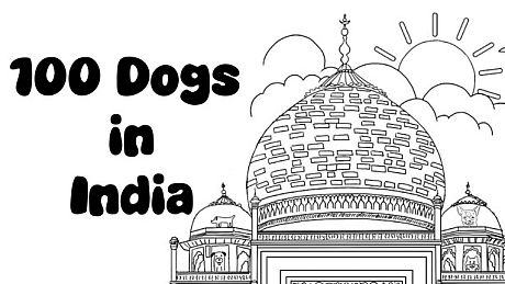 100 Dogs in India Game
