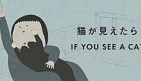 IF YOU SEE A CAT