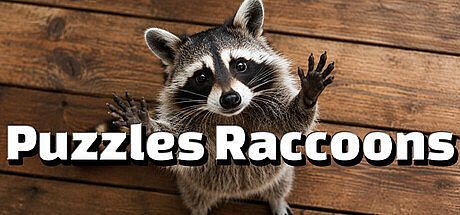 Puzzles Raccoons