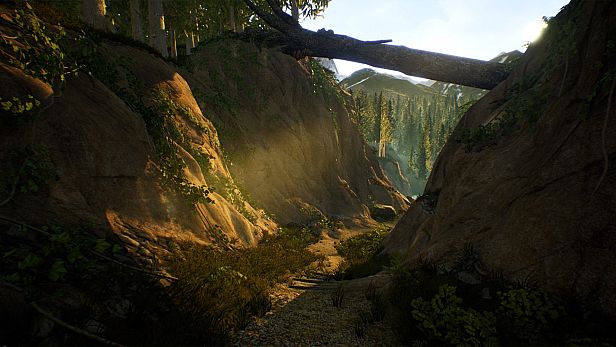 Buy Treasure Hunter Simulator