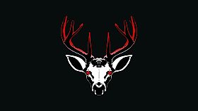 Project 13: Taxidermy Trails