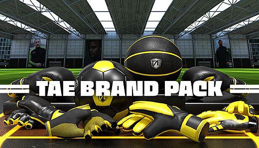 Rezzil Player - TAE Brand Pack