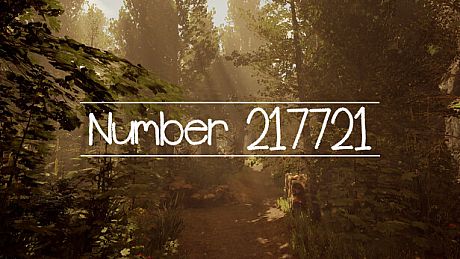Number 217721 Game