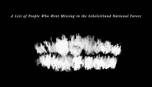A List Of People Who Went Missing In The Scheleirland National Forest