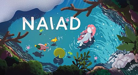 NAIAD Game