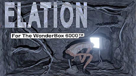 Elation For The Wonder Box 6000 Game