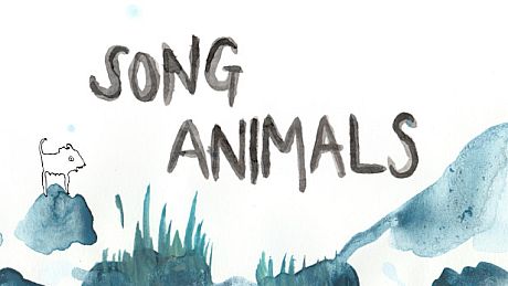 Song Animals Game