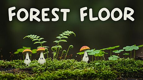 Forest Floor Game