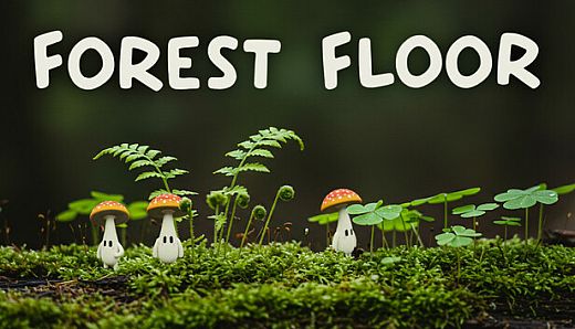 Forest Floor