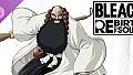 BLEACH Rebirth of Souls - Ichibe Hyosube