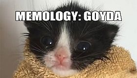 MEMOLOGY: GOYDA