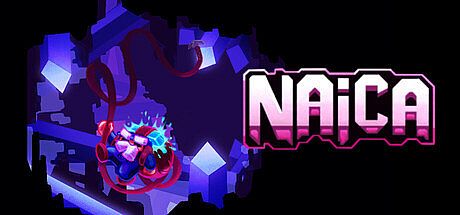 NAICA Game