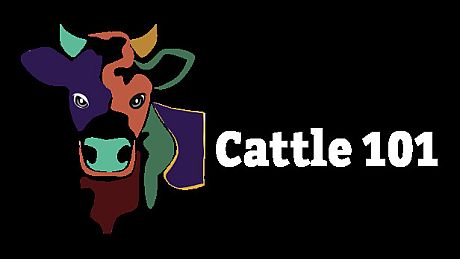 Cattle 101 -  Sample Library Game