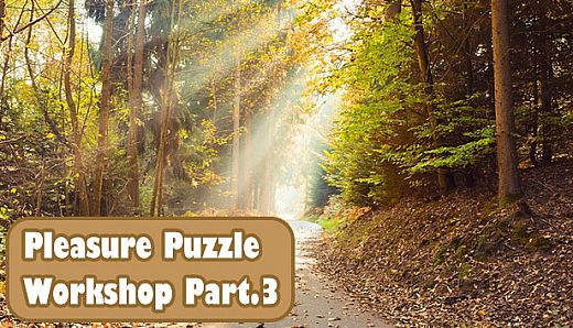 Pleasure Puzzle:Workshop - Part 3