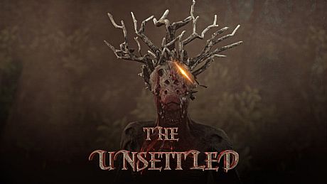 The Unsettled Game