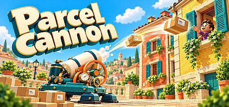 Parcel Cannon Game