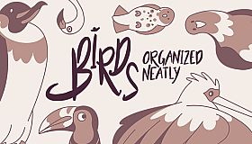 Birds Organized Neatly