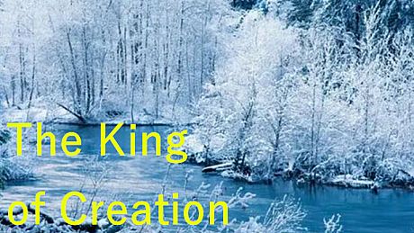 The King of Creation Game