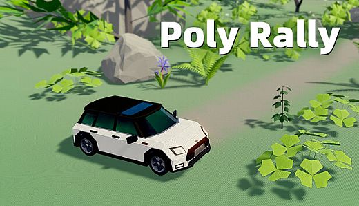 Poly Rally