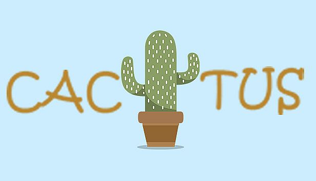 Buy Cactus