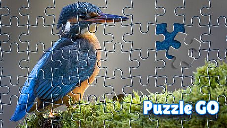 Puzzle Go Game