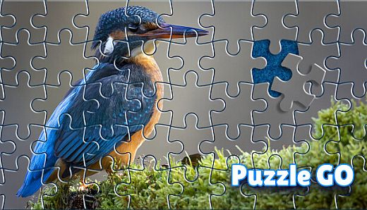 Puzzle Go