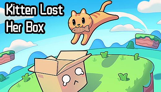Kitten Lost Her Box