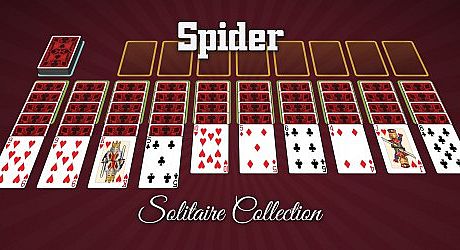 Spider Solitaire Collection Bundle