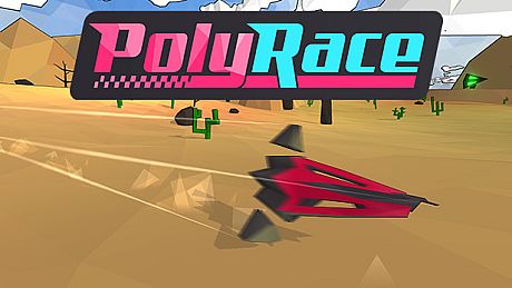 PolyRace Game
