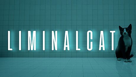 LIMINAL CAT Game