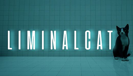 LIMINAL CAT