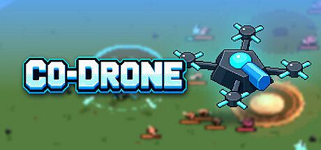 Co-drone Game