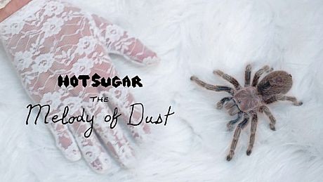The Melody of Dust Game