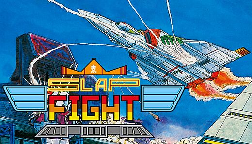 Slap Fight