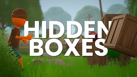 Hidden Boxes Game