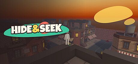 Hide & Seek Game