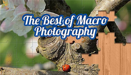 House of Jigsaw: The Best of Macro Photography