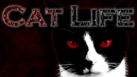 Cat Life Game