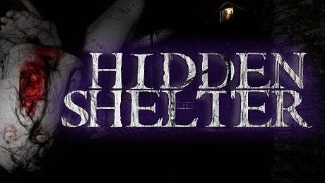Hidden Shelter Game