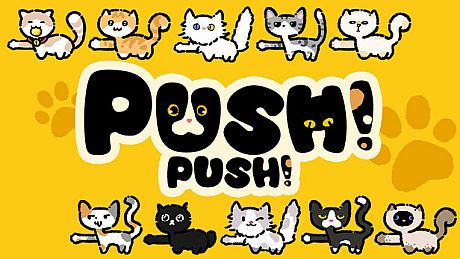 Push Push Game