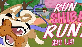 Run Shiba Run!