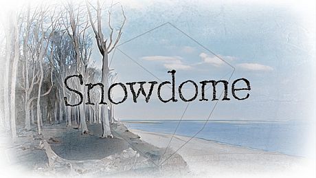 Snowdome Game
