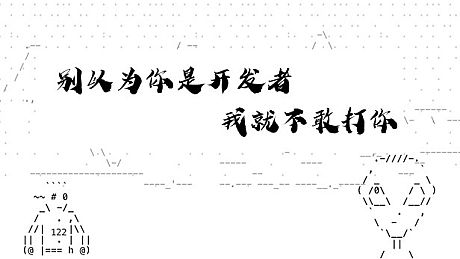 别以为你是开发者我就不敢打你