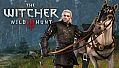 The Witcher 3: Wild Hunt - Nilfgaardian Armor Set