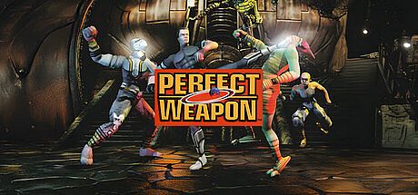 Perfect Weapon Game